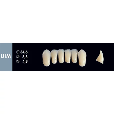 Integral frontgarnitúra A1, UIM
