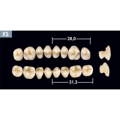 Integral rágógarnitúra A3, XS, alsó