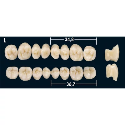 Deltaform rágógarnitúra, A1, L, alsó