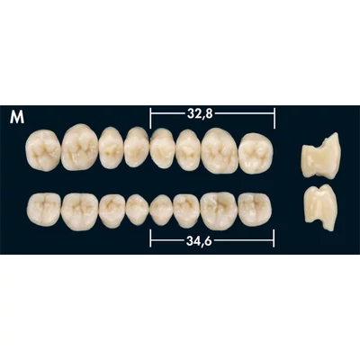 Deltaform rágógarnitúra, A2, M, alsó