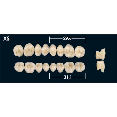 Deltaform rágógarnitúra, A3, XS, alsó