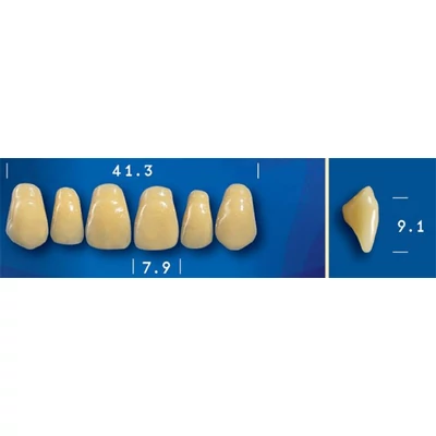 Goldent D3/1 műfog garnitúra