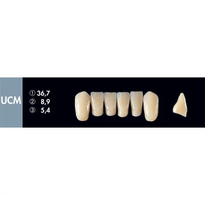 Integral frontgarnitúra A3, UCM